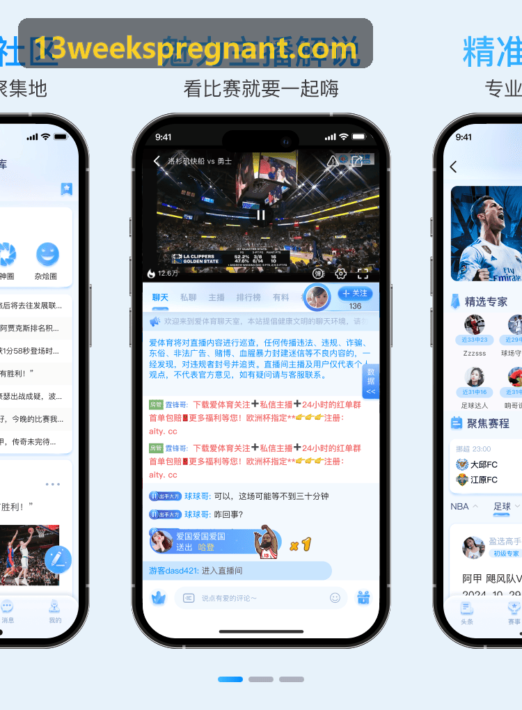 职业级战队数据分析系统